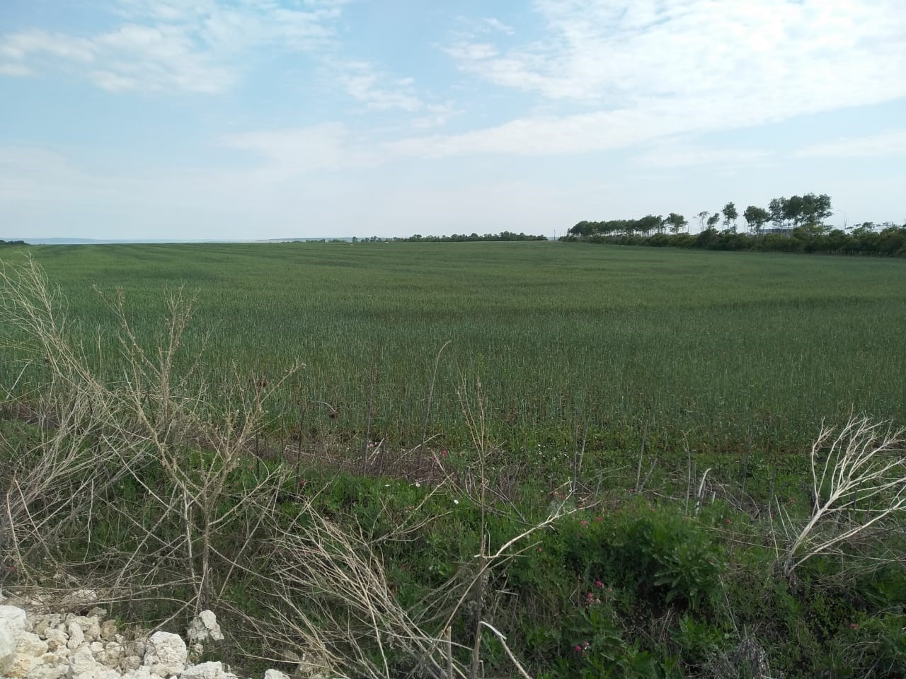 Участок на продажу в Светлодольске, Светлодольская улица фото №0