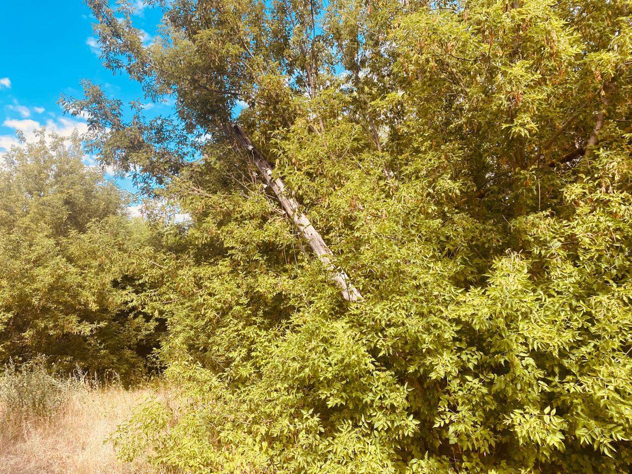 Продам торговое помещение 1021.5 м.кв.