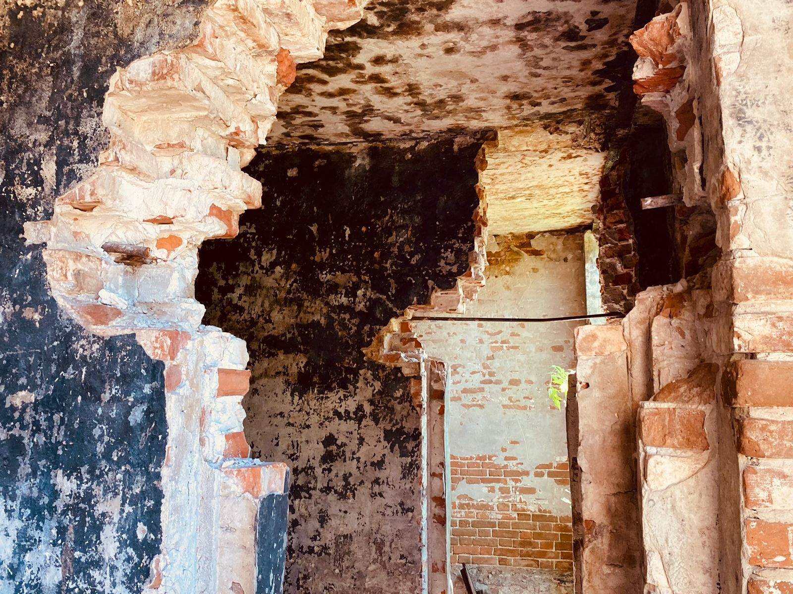 Продам торговое помещение 217.5 м.кв.