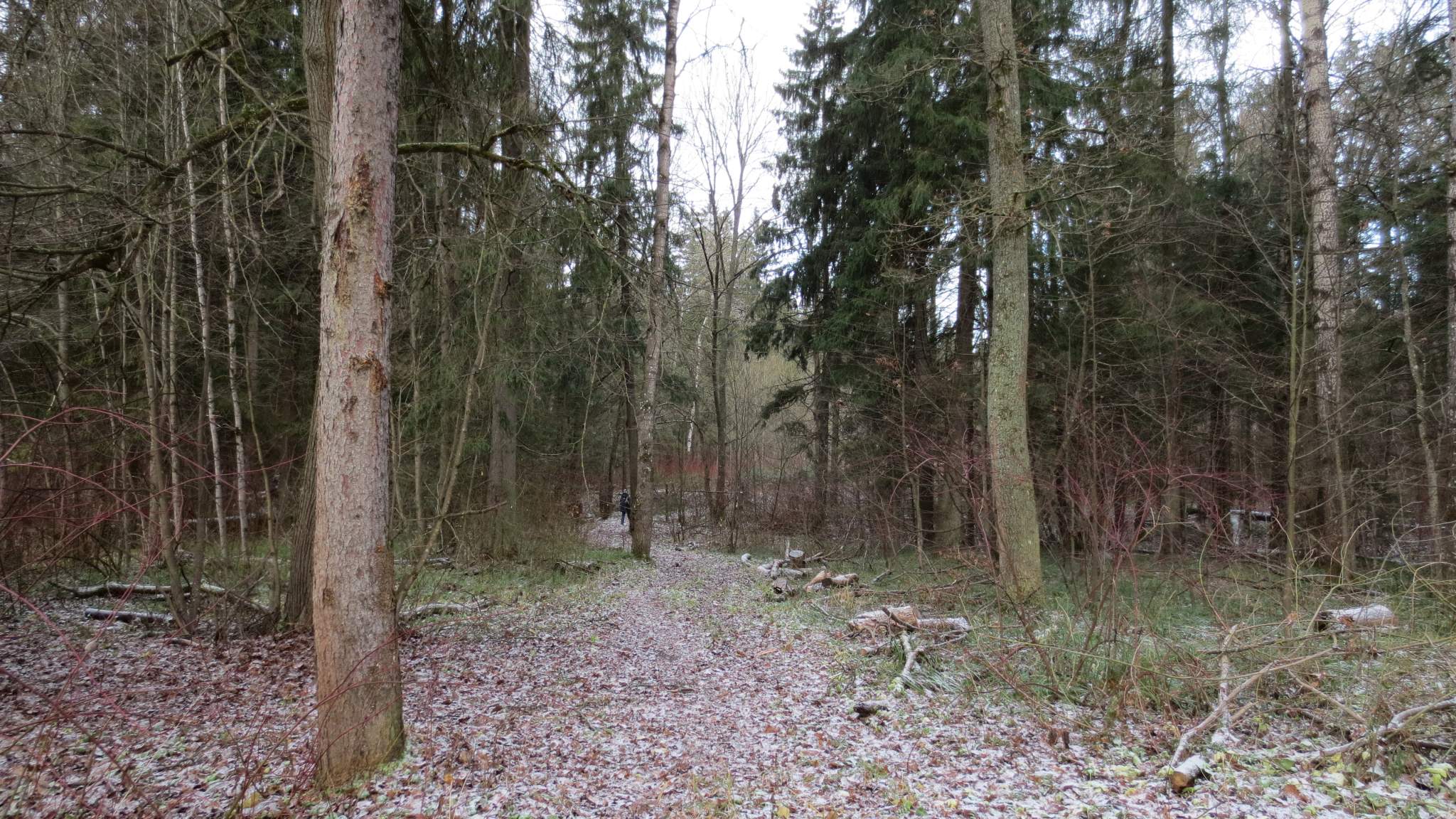 Участок в аренду в посёлке дома отдыха Бекасово, СПК Ромашка территория фото №13