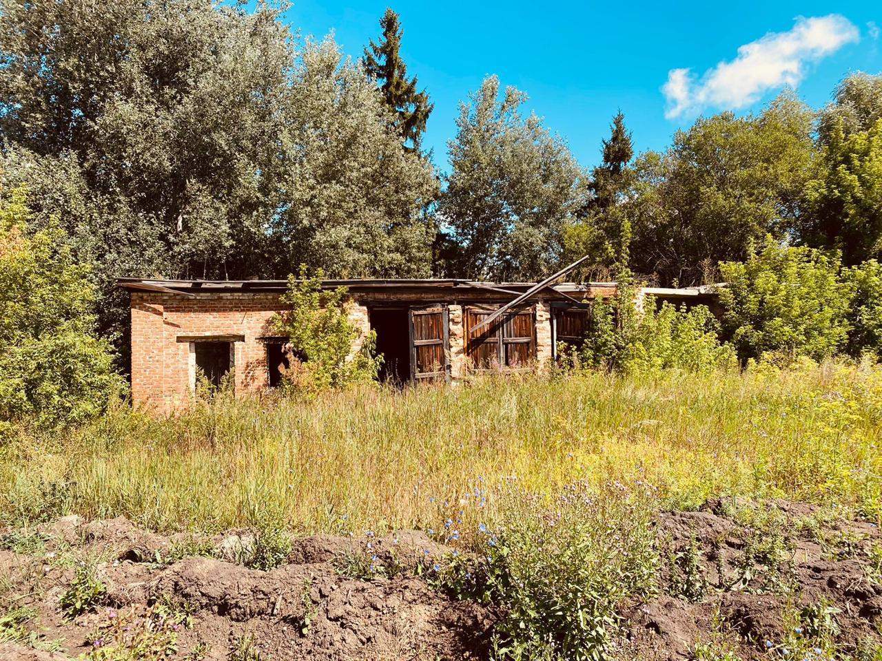 Продам торговое помещение 217.5 м.кв.