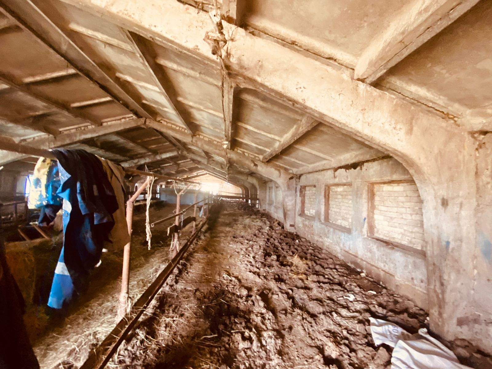 Продам торговое помещение 495.2 м.кв.