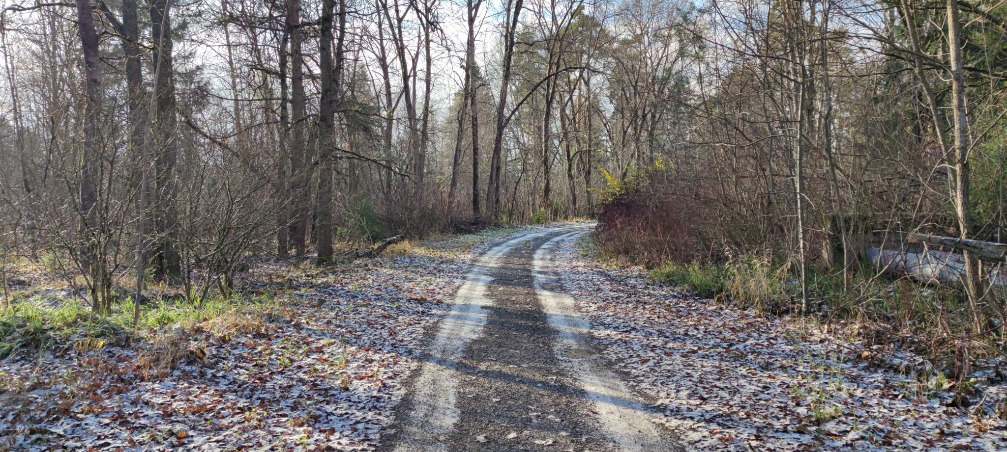 Участок в аренду в посёлке дома отдыха Бекасово, СПК Ромашка территория фото №11