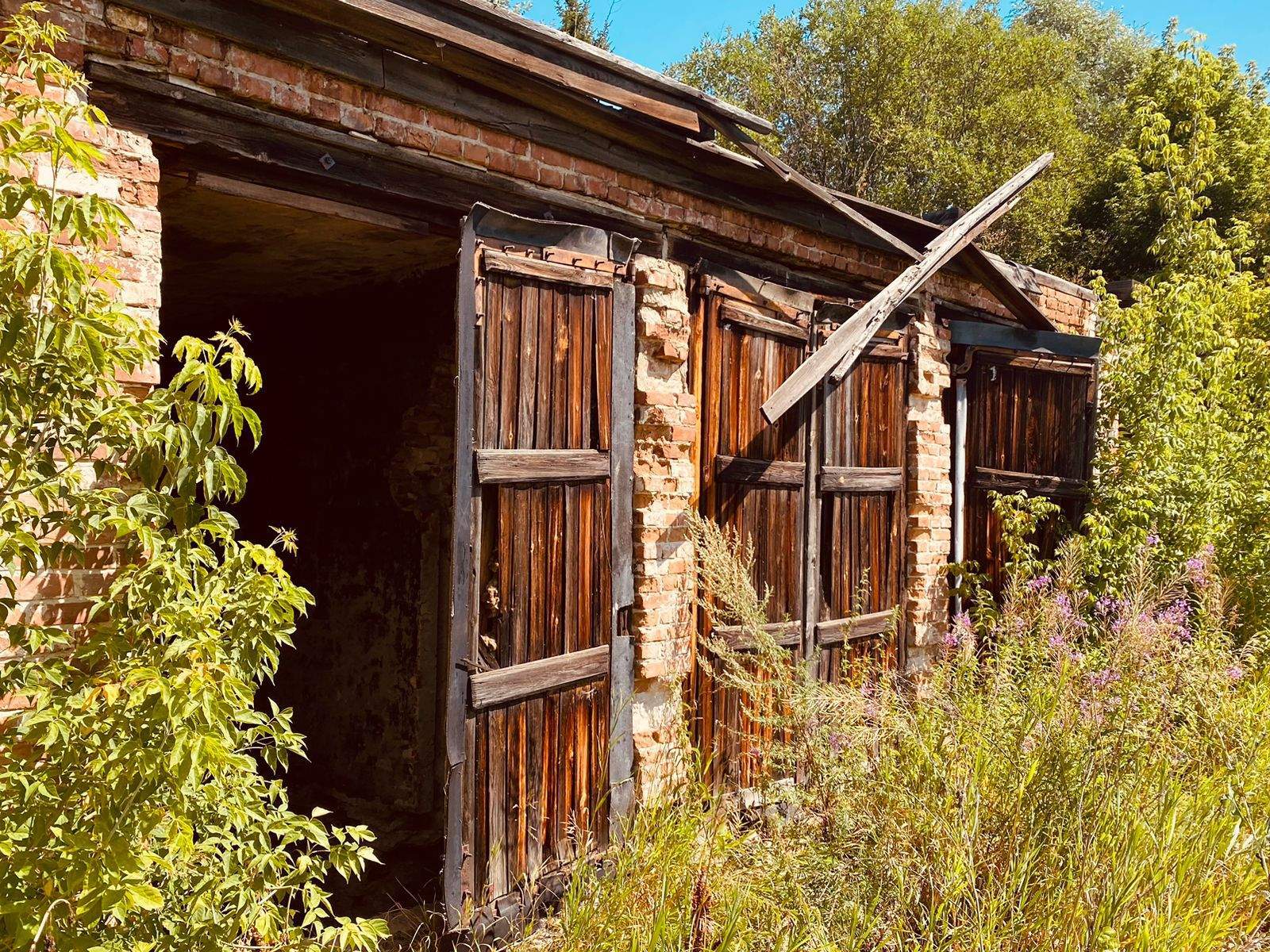 Продам торговое помещение 217.5 м.кв.