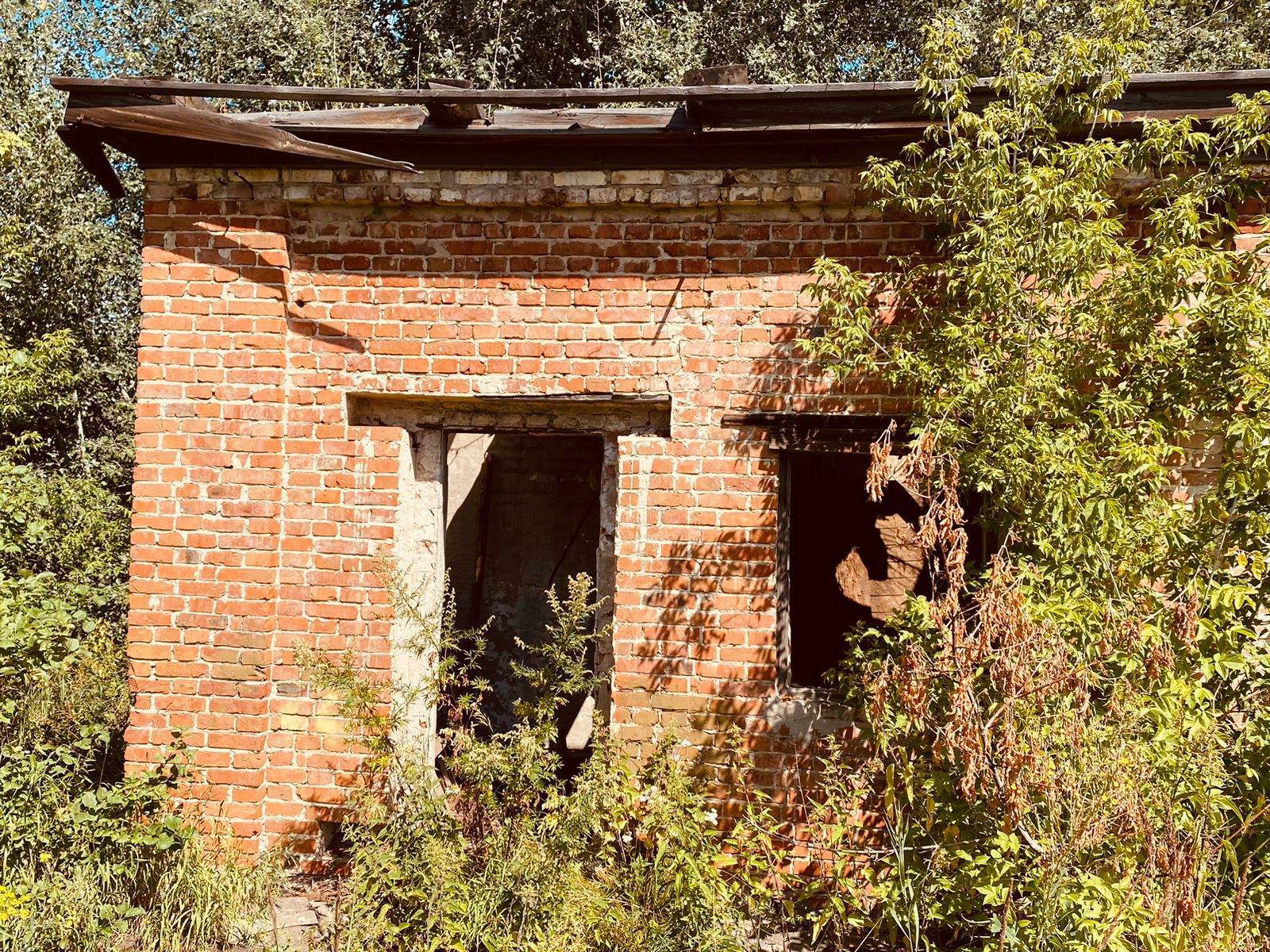 Продам торговое помещение 217.5 м.кв.