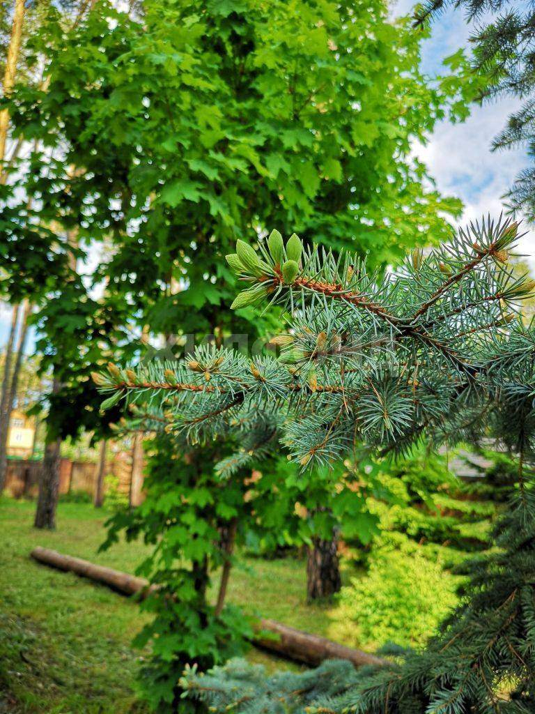 Дом на продажу в селе Тимирязевское, Ново-Трактовая улица фото №15