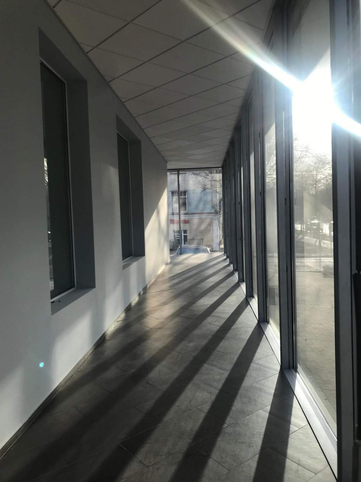 Сдам в аренду офис 202.9 м.кв.