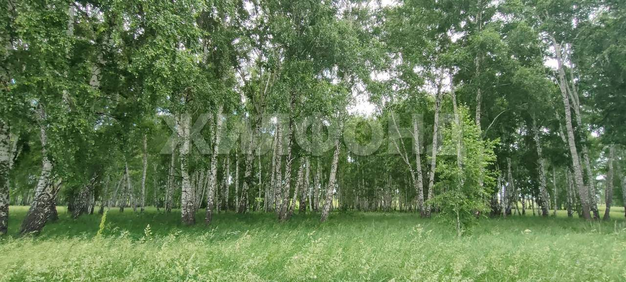 Продам земельный участок 1000 м.кв.