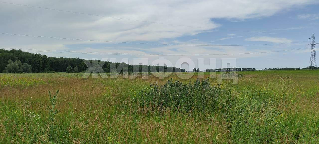 Продам земельный участок 1000 м.кв.