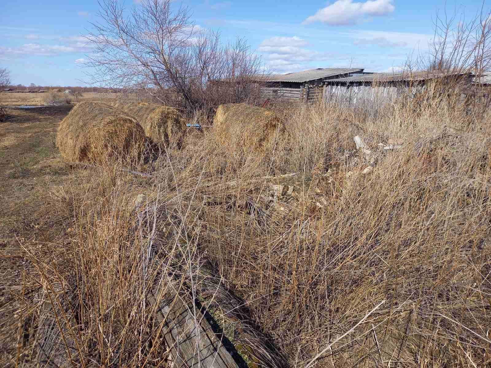 Сдам в аренду земельный участок 541 м.кв.