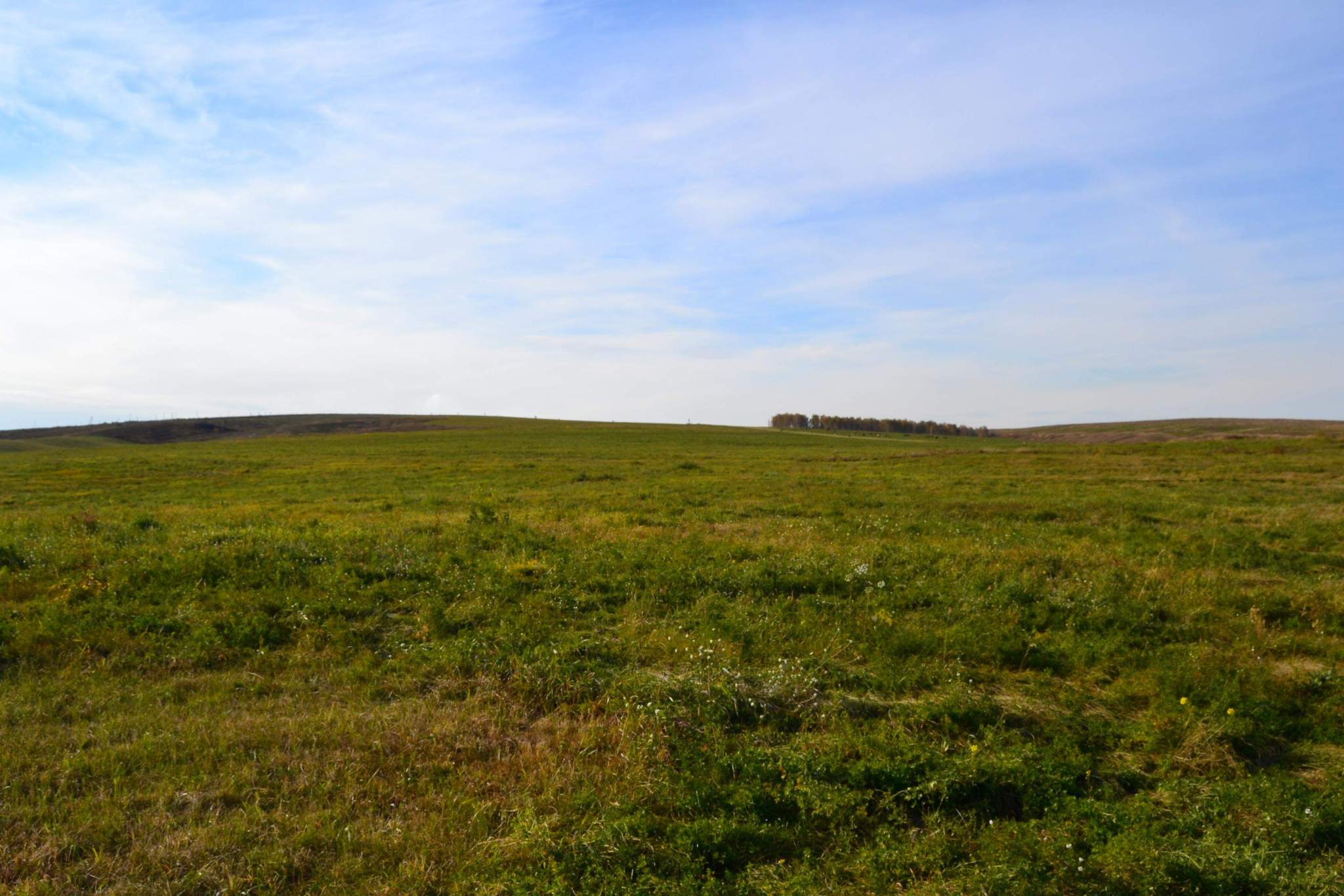 Продам земельный участок 200000 м.кв.