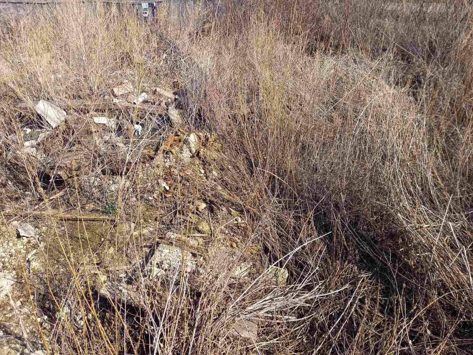 Сдам в аренду земельный участок 541 м.кв.