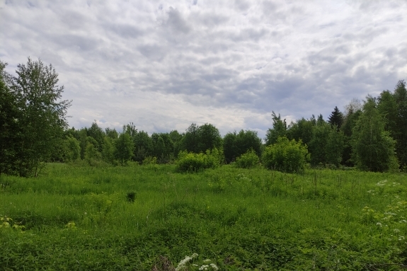 Участок на продажу в деревне Шутовщина, Беговая улица фото №0