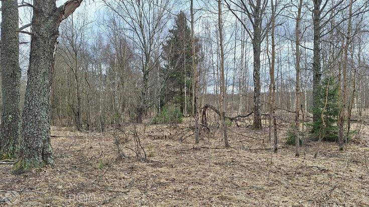 Продам земельный участок 170958 м.кв.