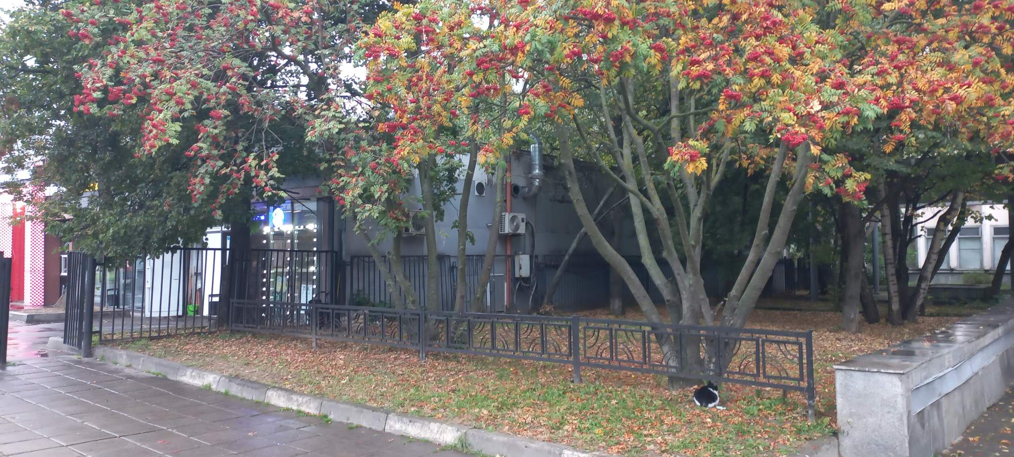 Продам земельный участок 3100 м.кв.