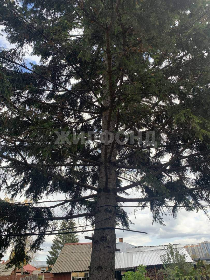 Дом на продажу в Томске, Яковлева улица фото №3