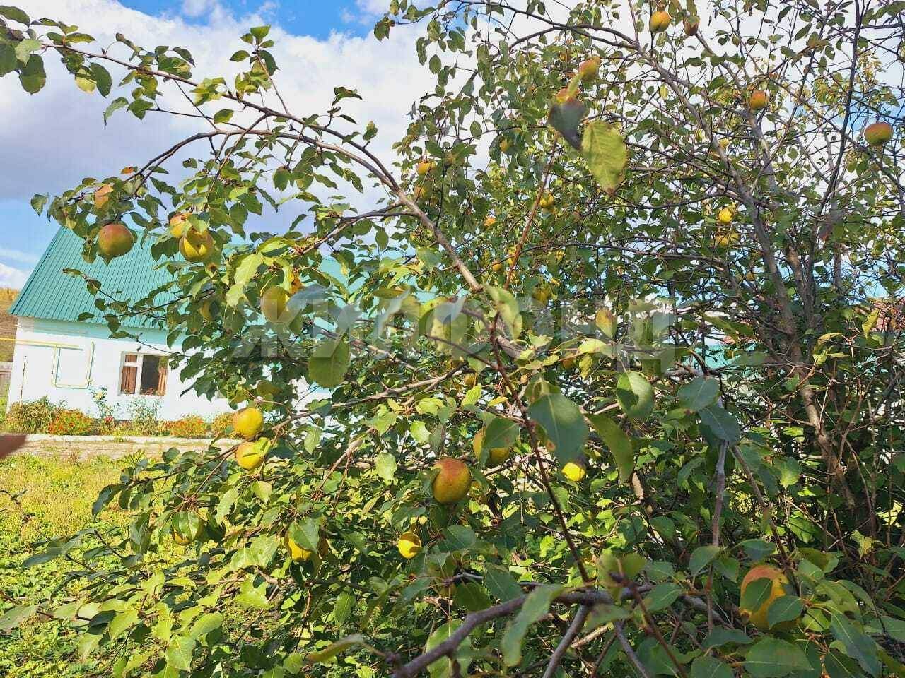 Дом на продажу в Тальменке, Завода ЖБИ микрорайон фото №17