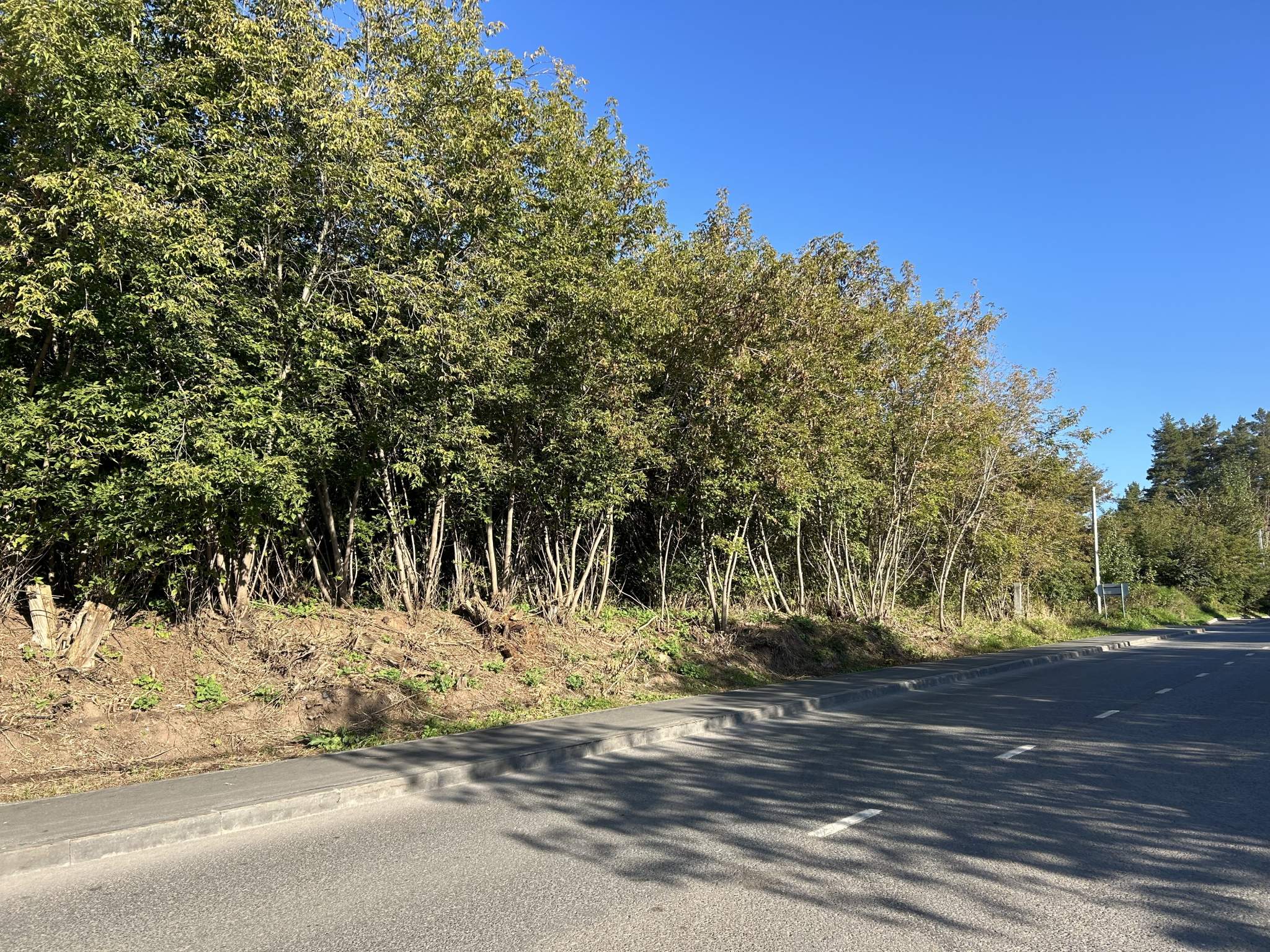 Фото: Земельно-имущественный комплекс test