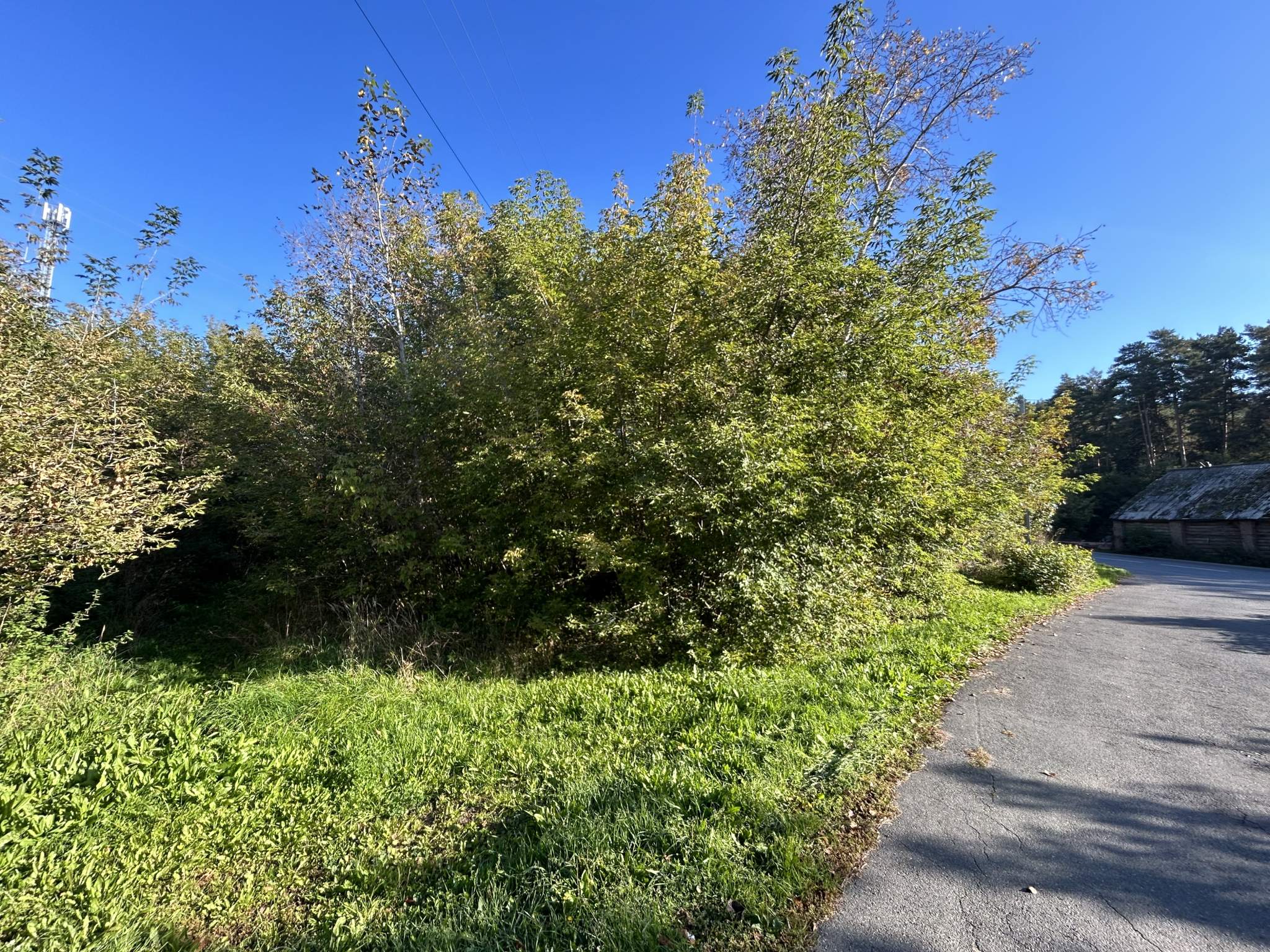 Фото: Земельно-имущественный комплекс test