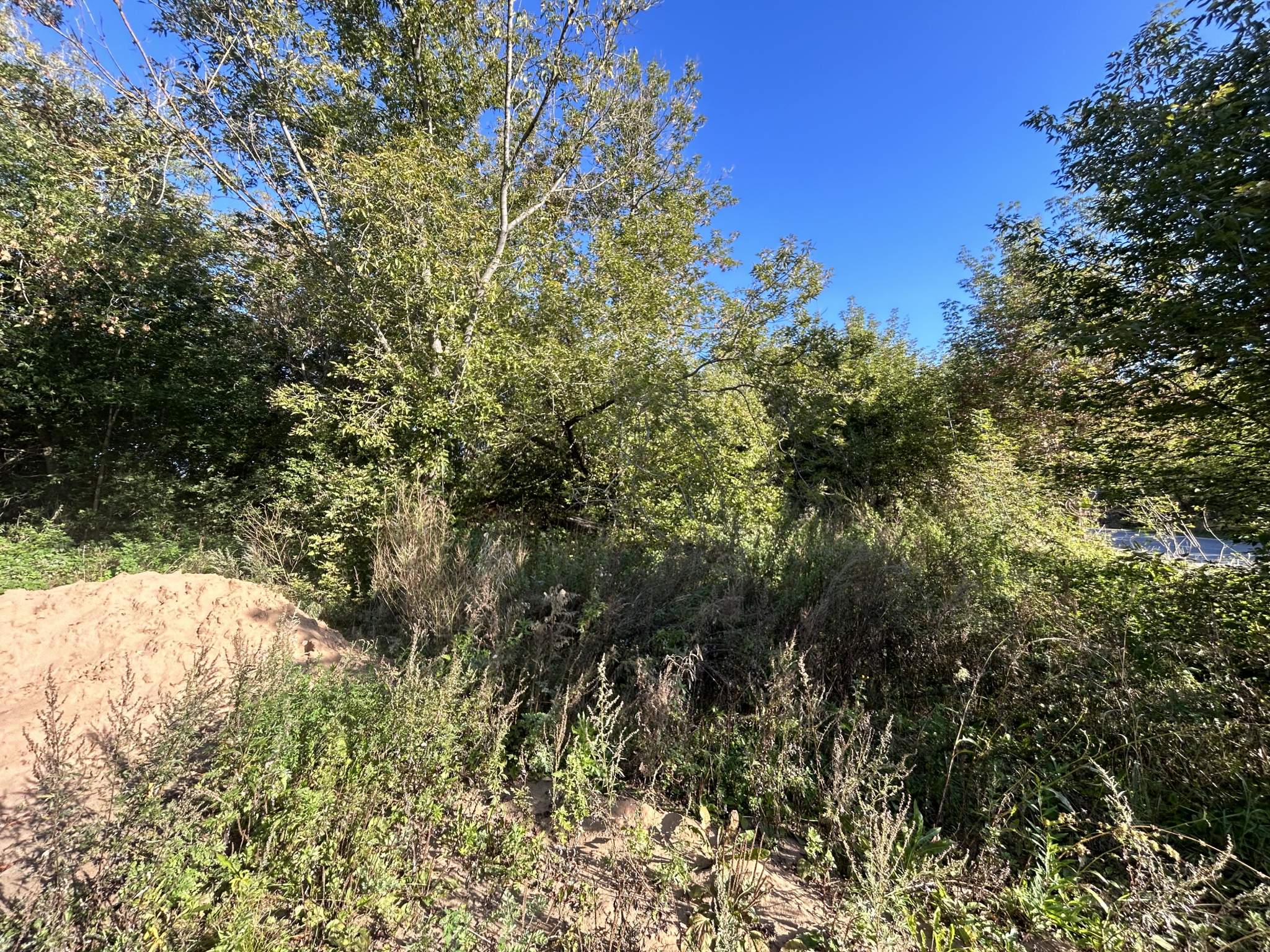 Фото: Земельно-имущественный комплекс test