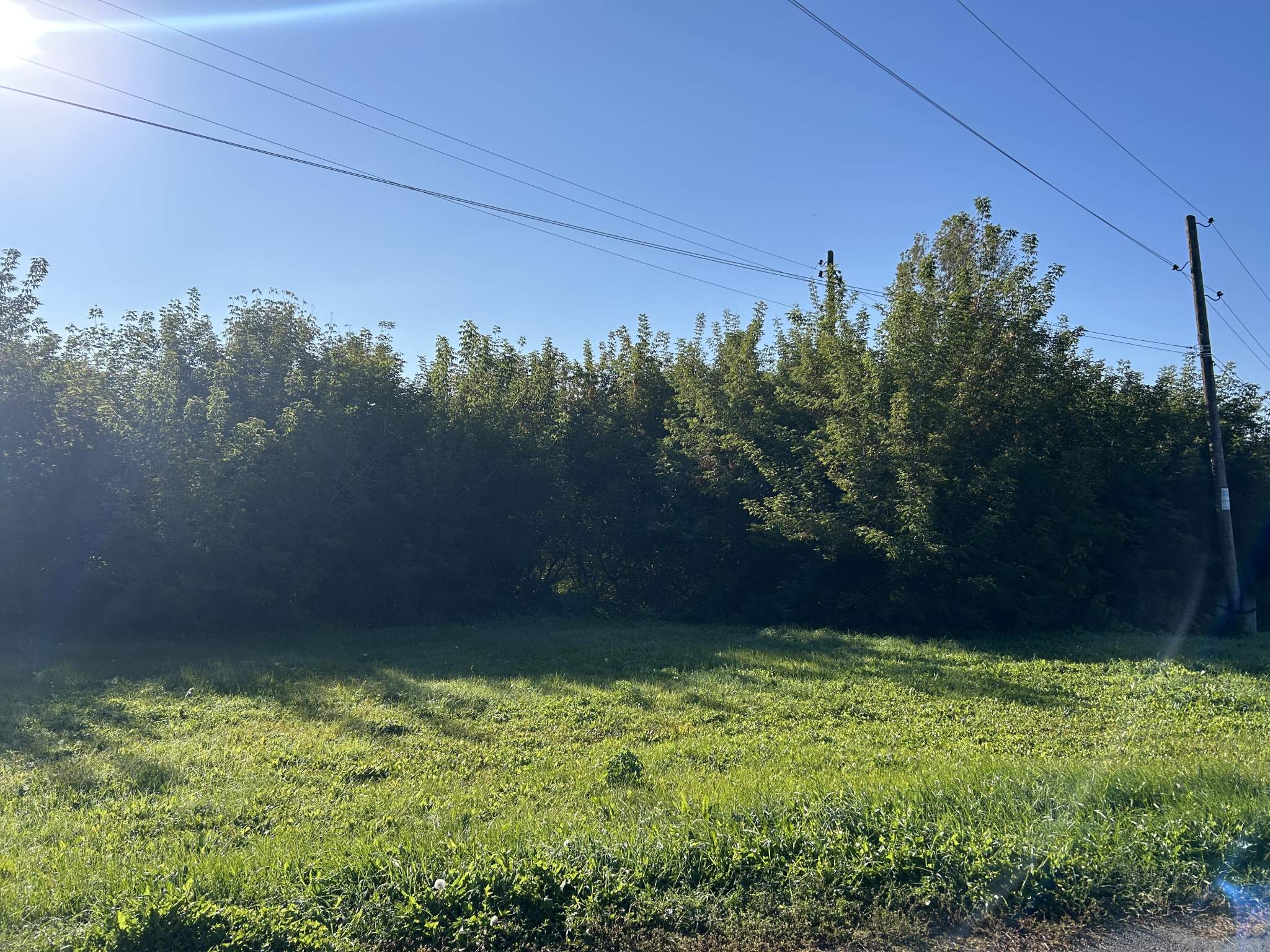 Фото: Земельно-имущественный комплекс test