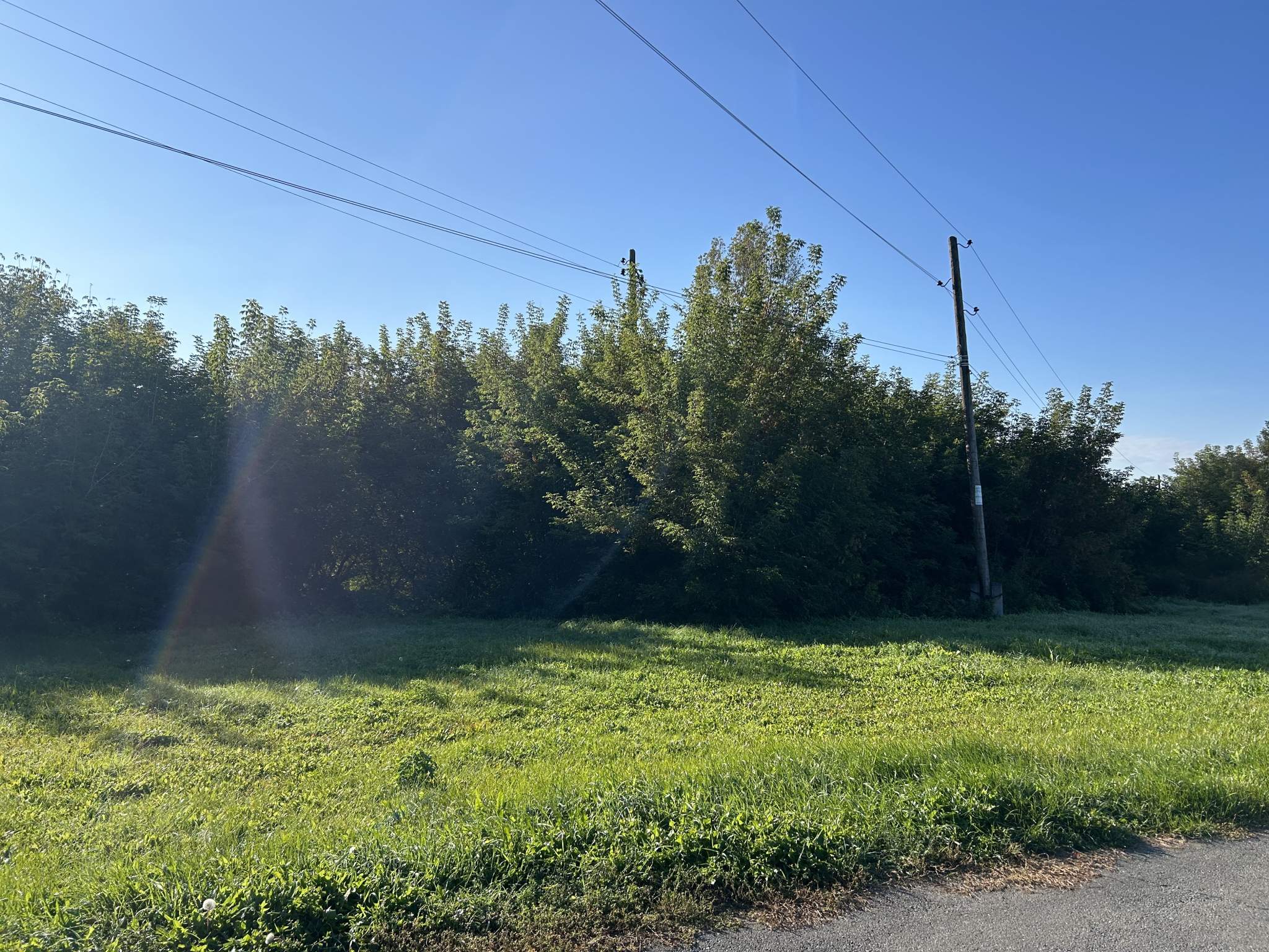 Фото: Земельно-имущественный комплекс test