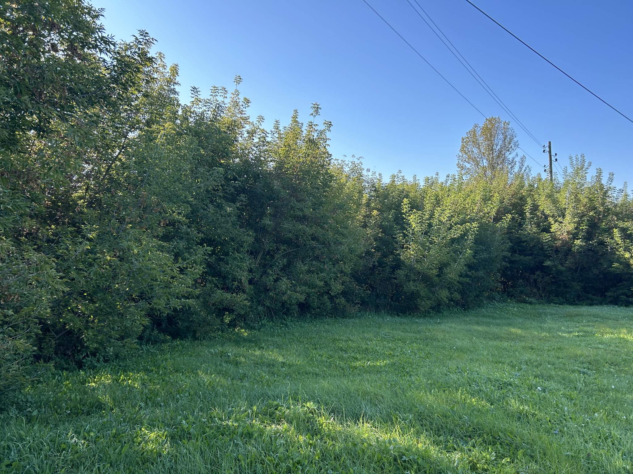 Фото: Земельно-имущественный комплекс test