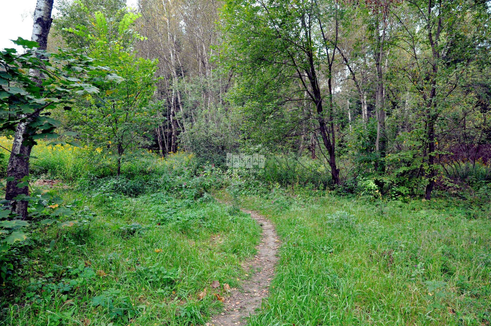 Коттедж на продажу в Изварино, 1-я Новоизваринская улица, 17/1 фото №15