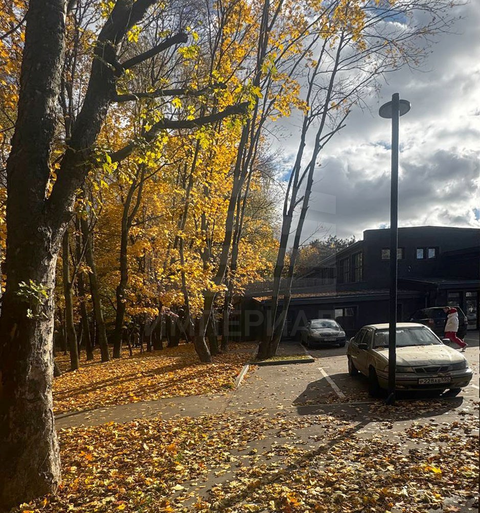 Фото: Аренда ПСН площадью 23.9 м2 test