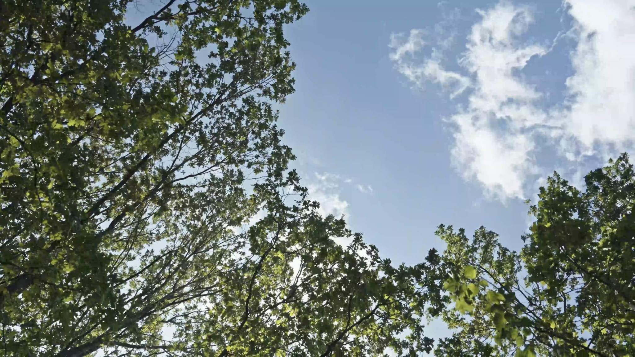 Фото: Удобная кладовая test