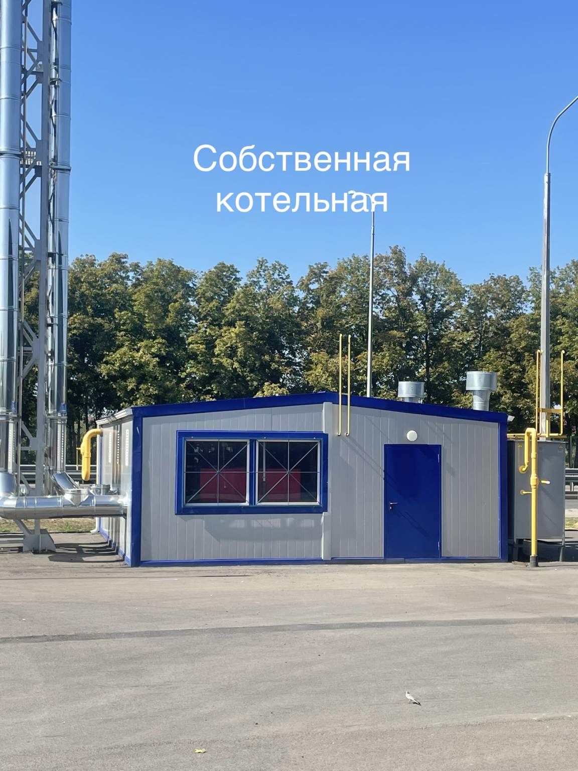 Фото: Торговое помещение Пятерочка. Арендный бизнес test