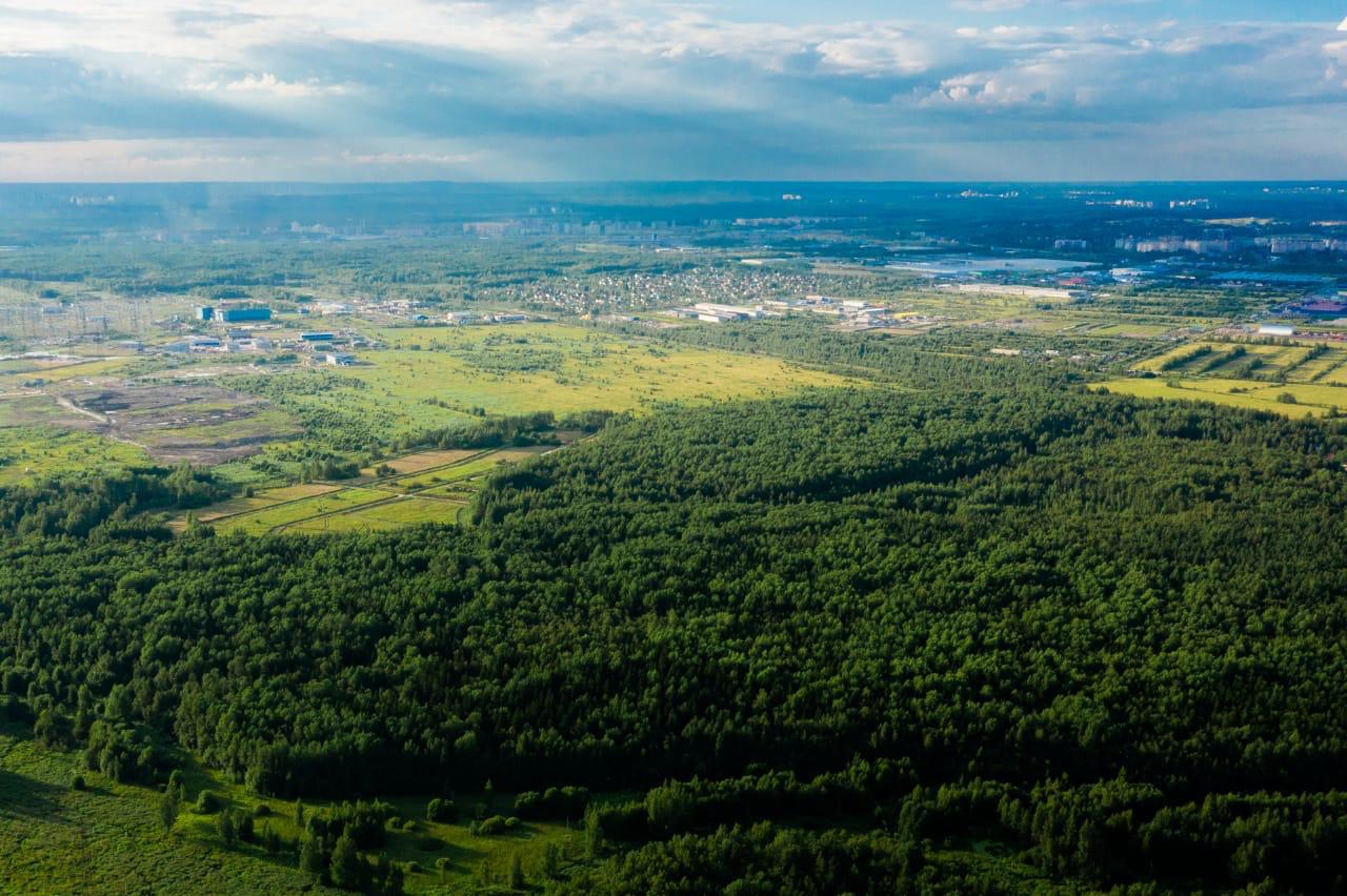 Участок на продажу в Заневке фото №0