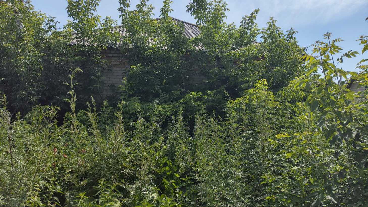 Помещение свободного назначения на продажу в Кропанях, Советская улица, 36 фото №0