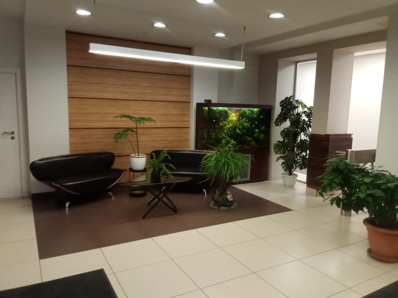 Сдам в аренду офис 54.5 м.кв.