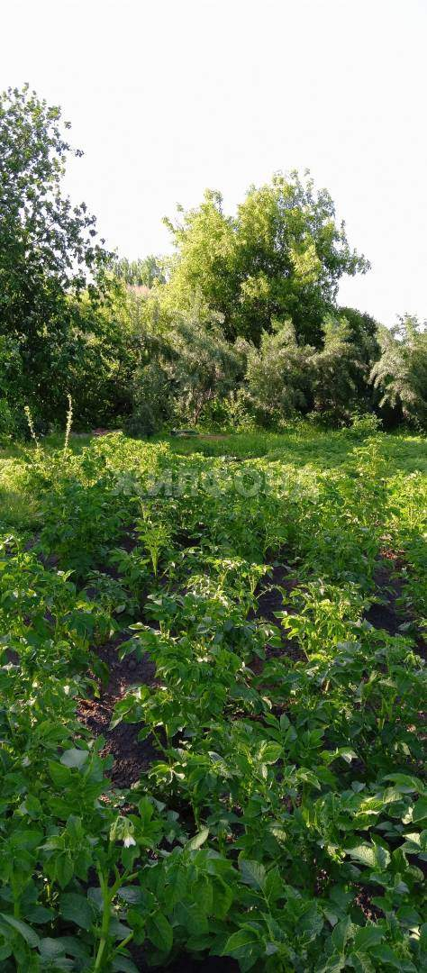 Продам земельный участок 900 м.кв.