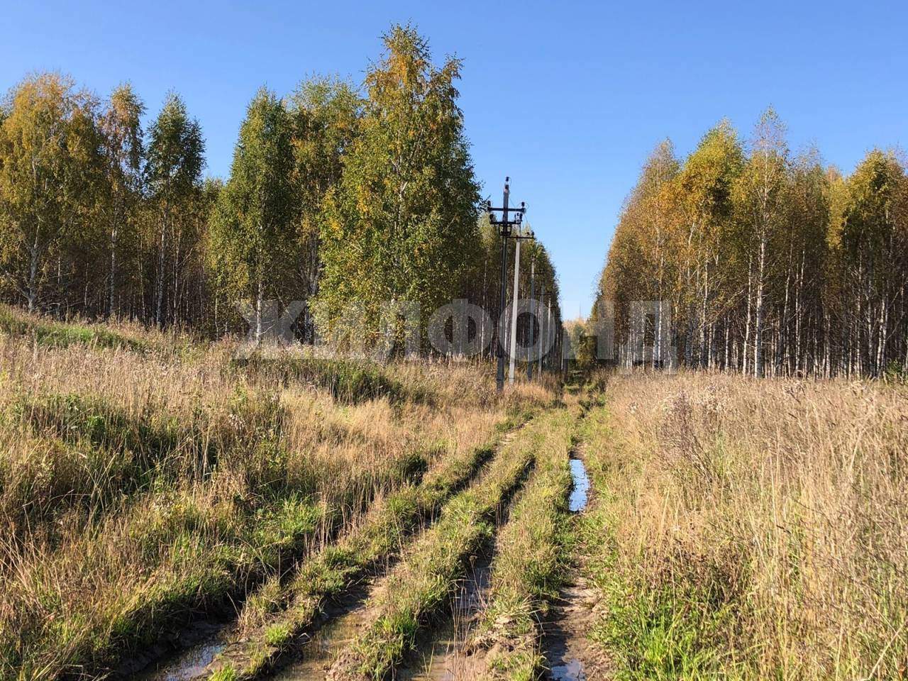 Продам земельный участок 53000 м.кв.