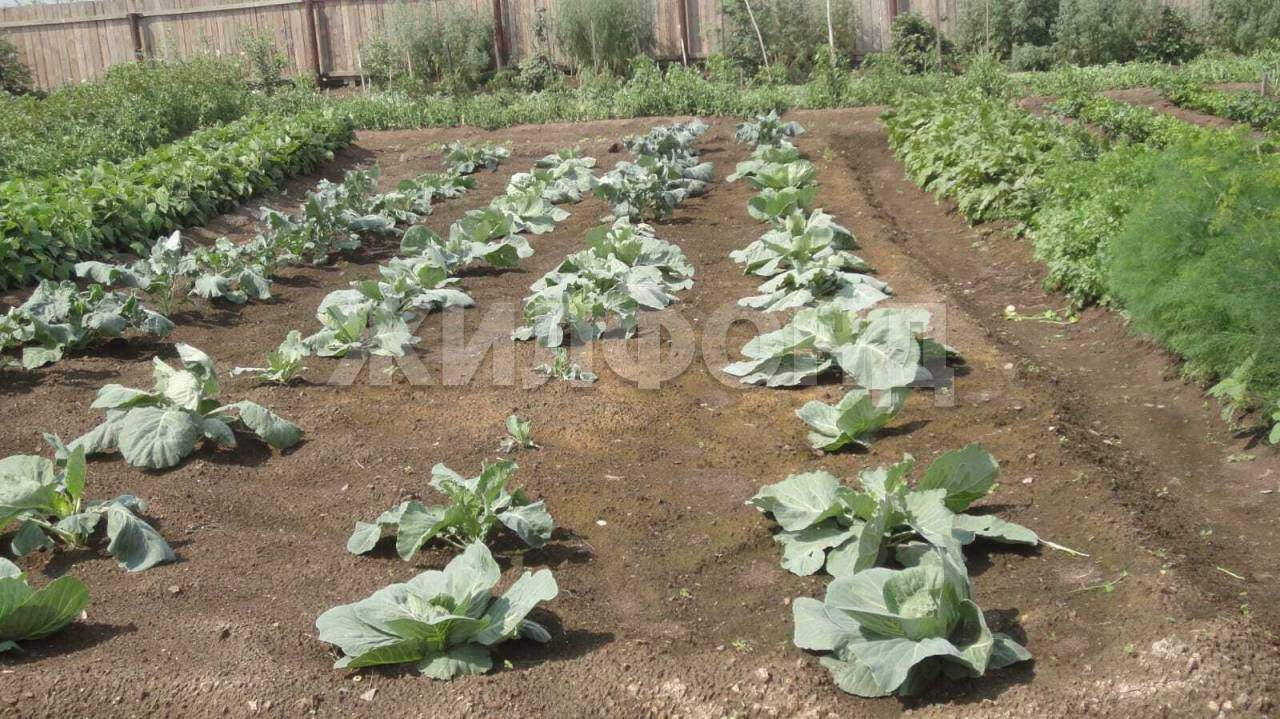 Продам земельный участок 672 м.кв.