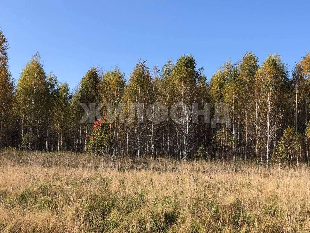 Продам земельный участок 53000 м.кв.