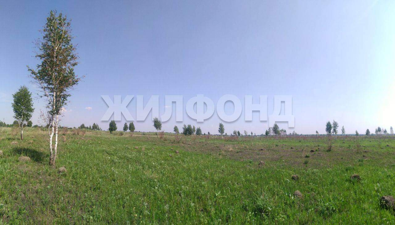 Продам земельный участок 18590 м.кв.