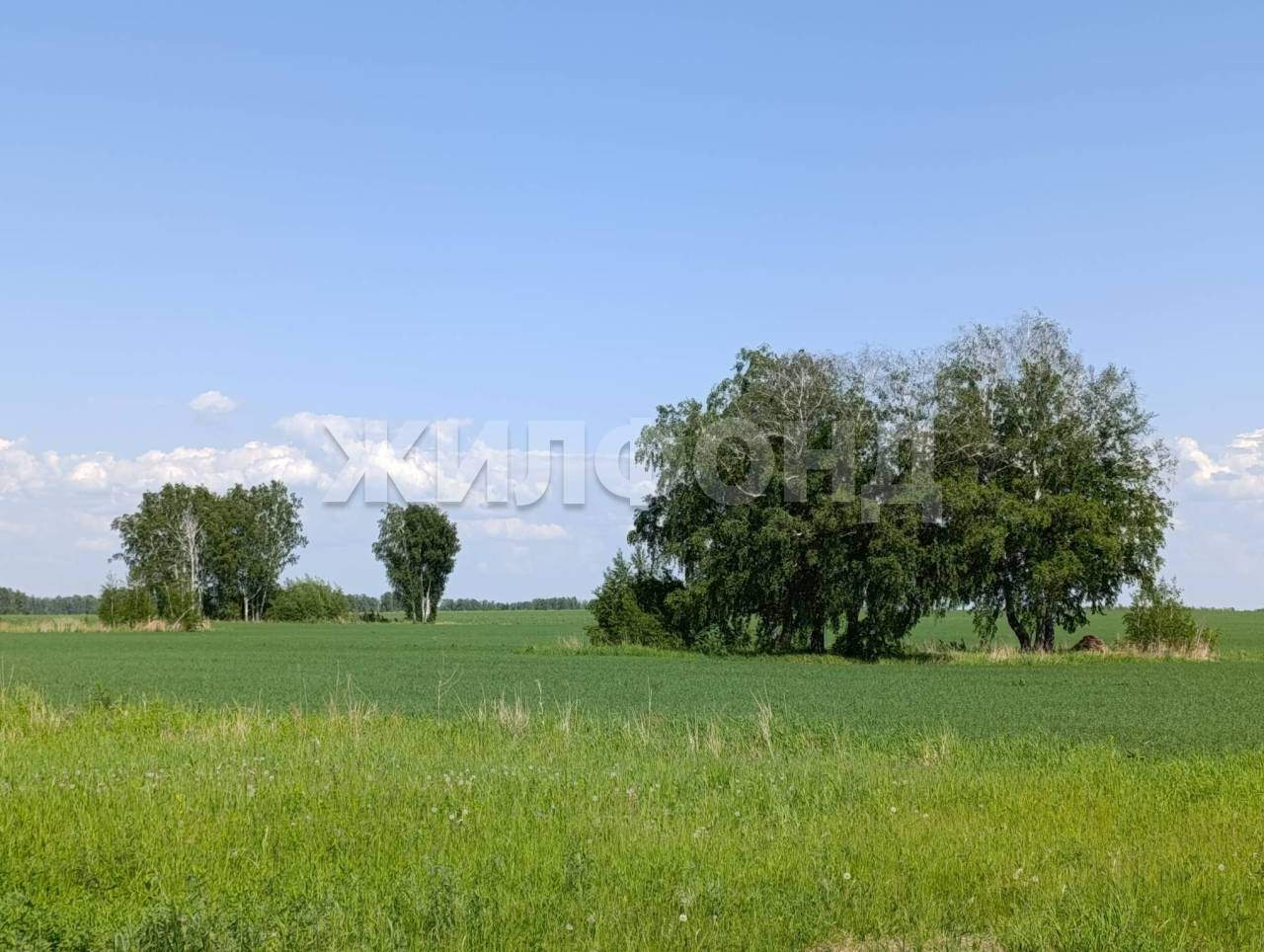 Продам земельный участок 1093 м.кв.