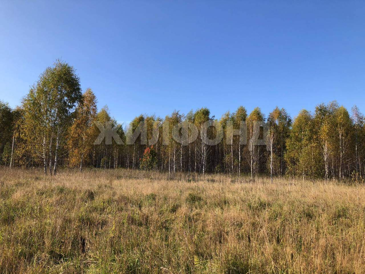 Продам земельный участок 53000 м.кв.