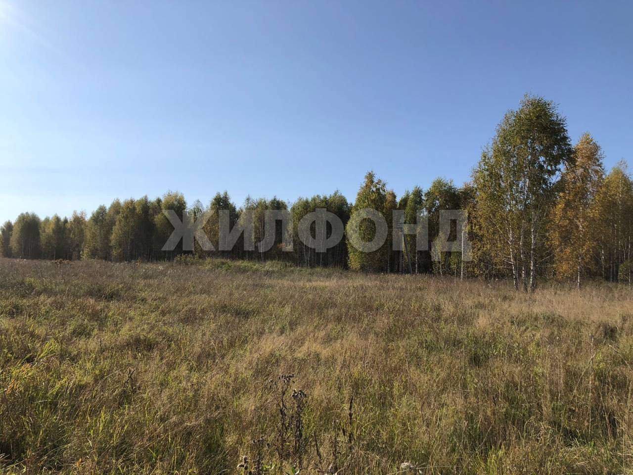 Продам земельный участок 53000 м.кв.