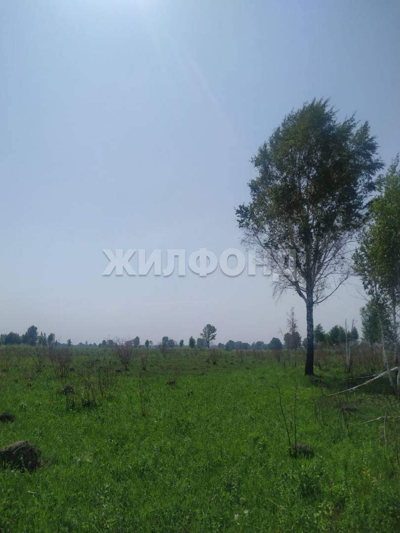 Продам земельный участок 18590 м.кв.