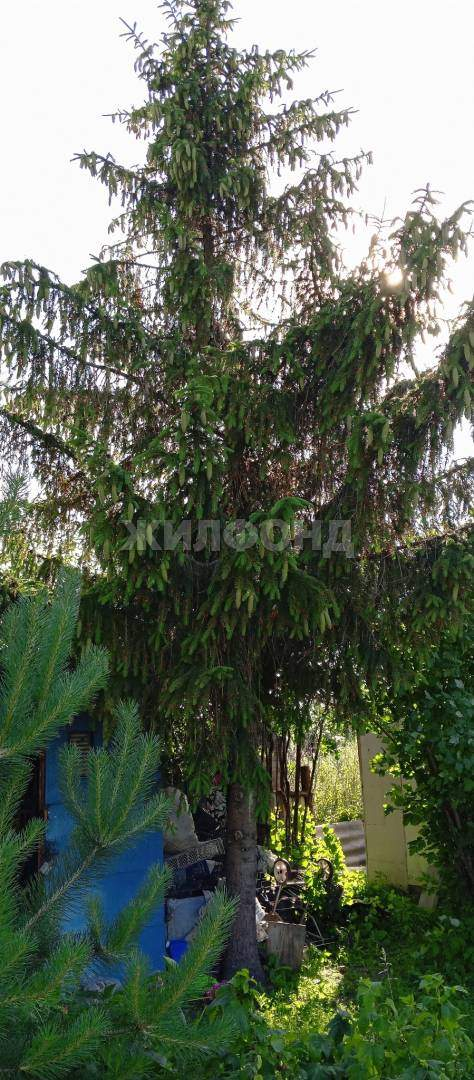 Продам земельный участок 900 м.кв.