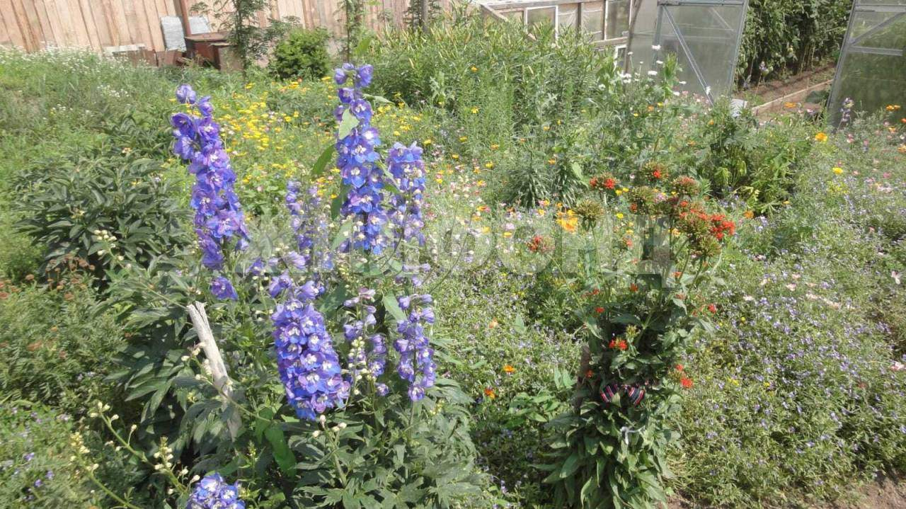 Продам земельный участок 2500 м.кв.