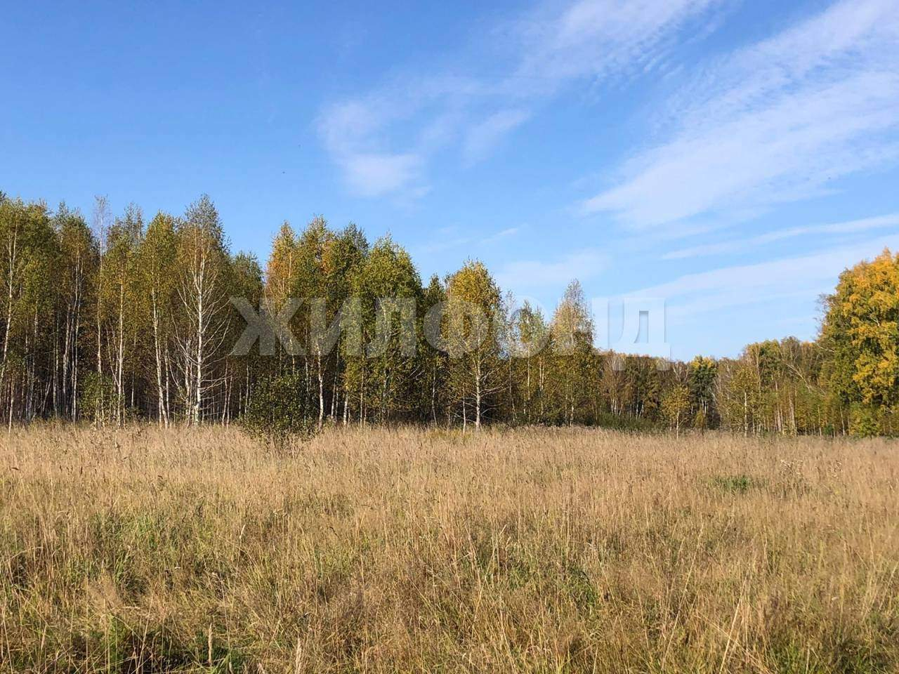 Продам земельный участок 53000 м.кв.