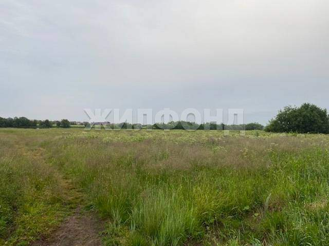 Участок на продажу в Нижних Валдушках фото №4