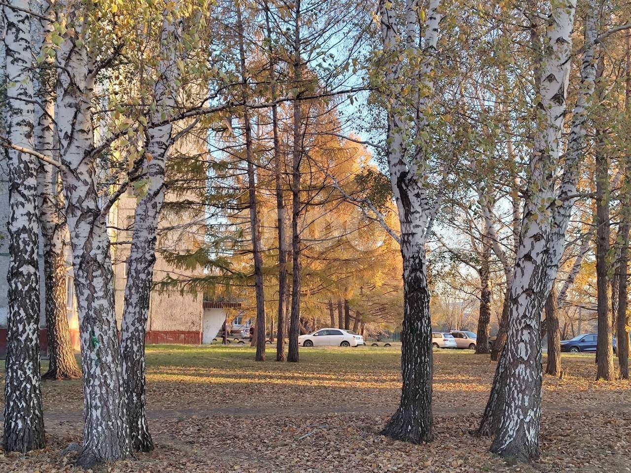 Квартира на продажу в Южном, Чайковского улица, 47 фото №16