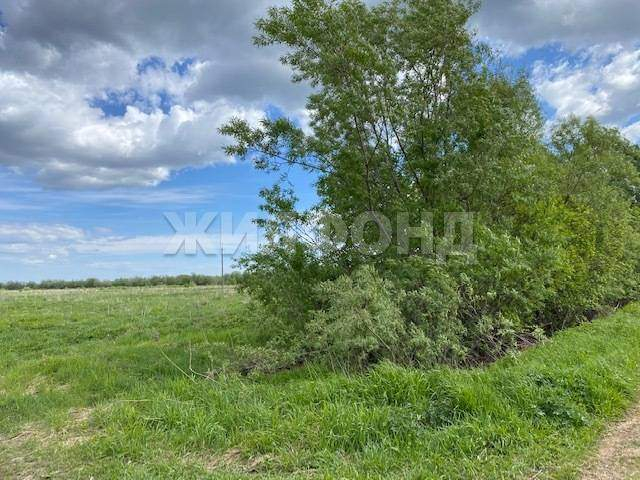 Продам земельный участок 37500 м.кв.