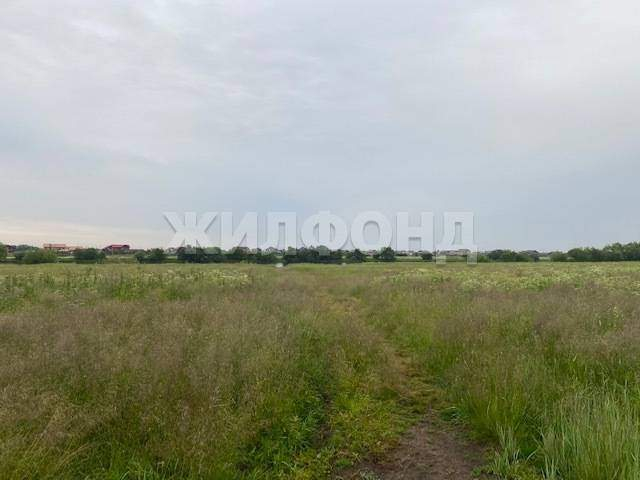 Участок на продажу в Нижних Валдушках фото №3